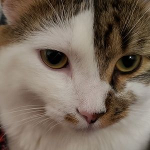 Meet your Posher, Maeghen